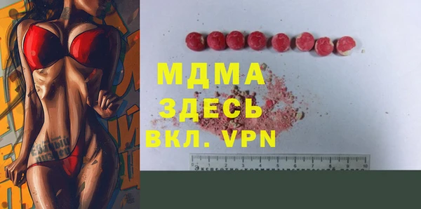 хмурый Арсеньев
