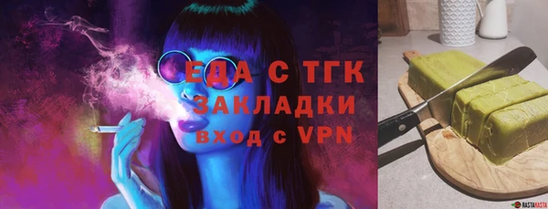 хмурый Арсеньев