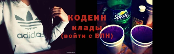 хмурый Арсеньев