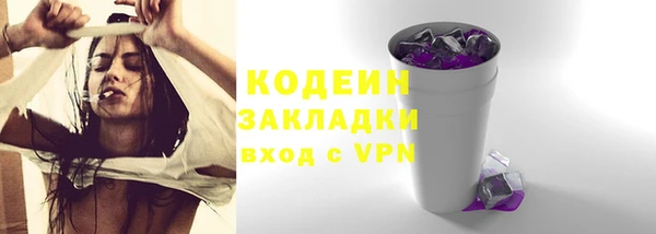 хмурый Арсеньев