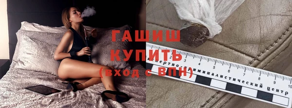 хмурый Арсеньев