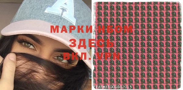 СК Аркадак
