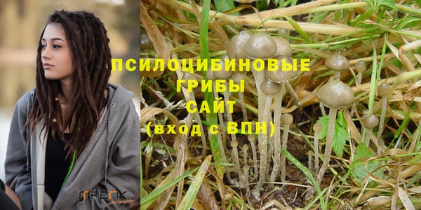 а пвп мука Армянск
