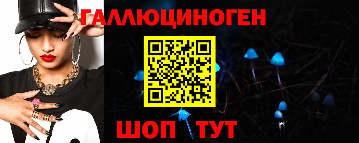 Галлюциногенные грибы Psilocybe  Вход с VPN  Баксан 